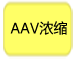 AAVŨ