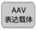 AAV