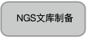NGS文库制备