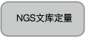 NGS文库定量