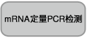 mRNA定量PCR检测