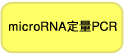 microRNA定量PCR