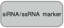 siRNA-ssRNA marker