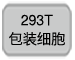 293T包装细胞