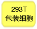 293T包装细胞