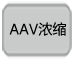 AAV浓缩