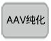 AAV纯化