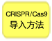 Cas9-sgRNA细胞纳米囊泡制备