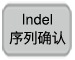 Indel序列确认