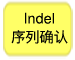 Indel序列确认