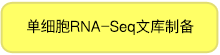 单细胞RNA-Seq文库制备