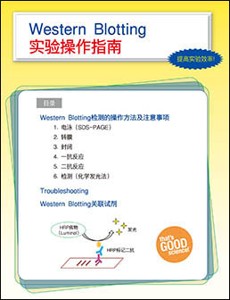 Western BLoT Stripping Buffer