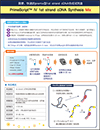 PrimeScript&trade; IV 1st strand cDNA Synthesis Mix