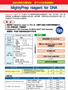 MightyAmp&trade; DNA Polymerase Ver.3