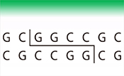宝日医生物技术 北京 有限公司 宝日医生物技术 北京 有限公司