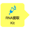 RNA提取