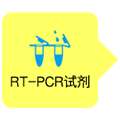 RT-pcrԼ