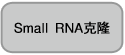 Small RNA¡
