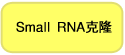 Small RNA¡