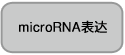 microRNA