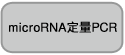 microRNA定量PCR