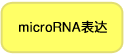 microRNA表达