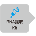 RNA提取