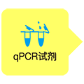 qpcr试剂